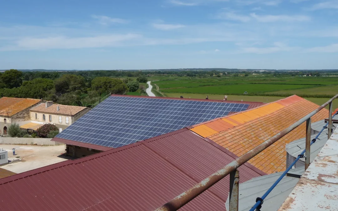 Toiture photovoltaïque – Sud Céréales – Arles (13)