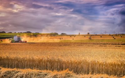 Les 10 avantages de l’agrivoltaïsme face au changement climatique
