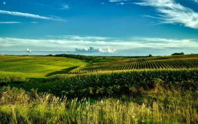 Comment une ferme agrivoltaïque réduit l’empreinte carbone ?