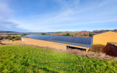 Comment les hangars photovoltaïques réduisent-ils les émissions de gaz à effet de serre ?