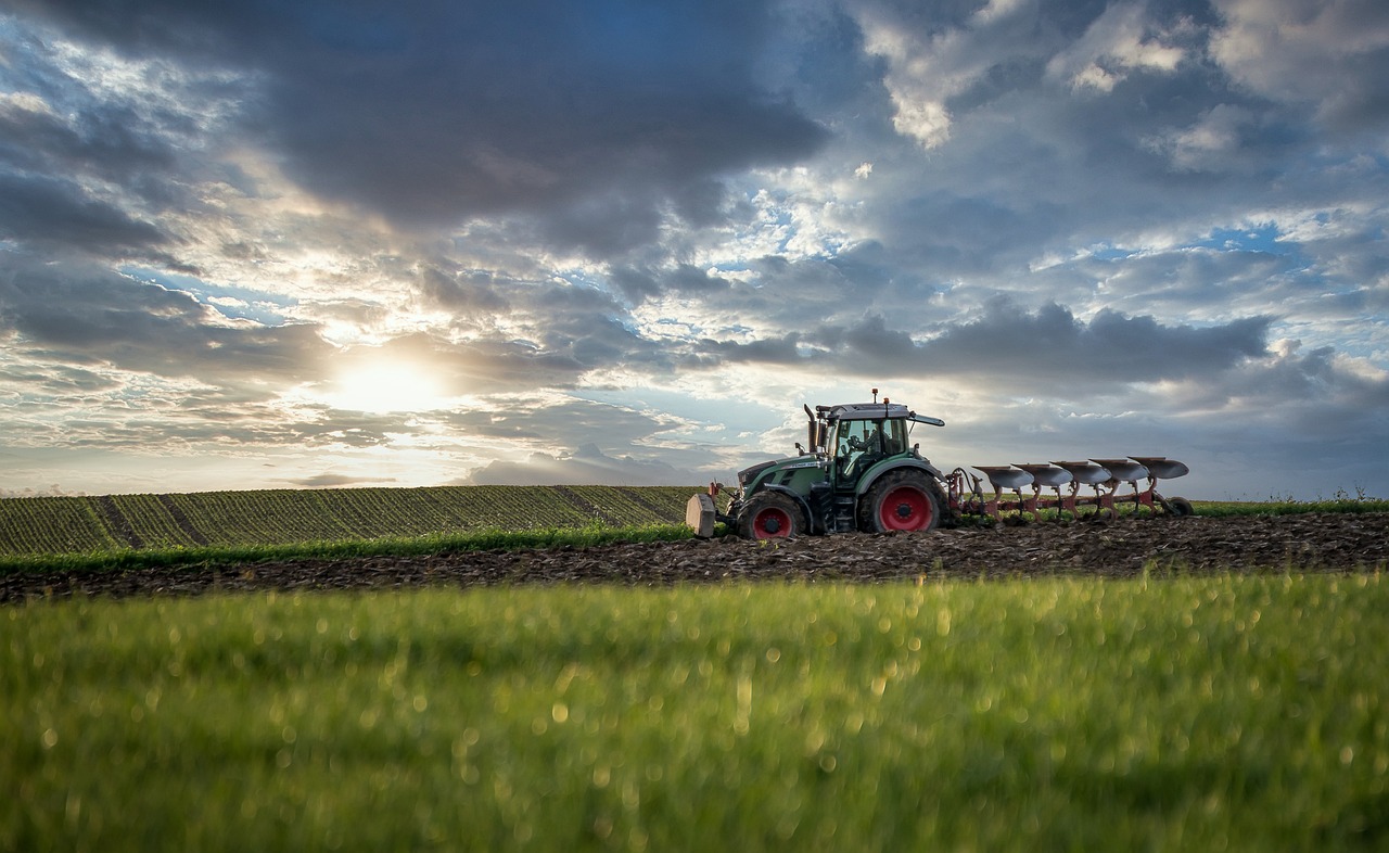 Naissance et évolution de l'agrivoltaïsme