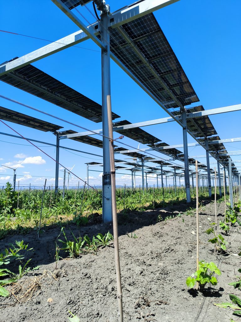 Agrivoltaïsme dynamique